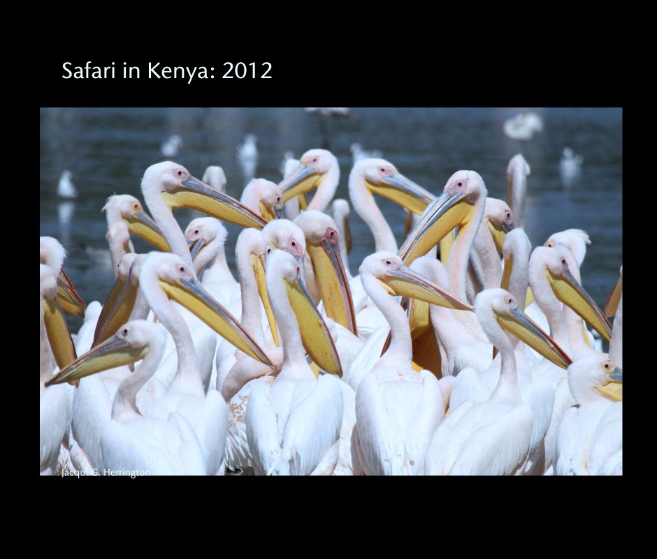 Ver Safari in Kenya: 2012 por Jacqui G. Herrington