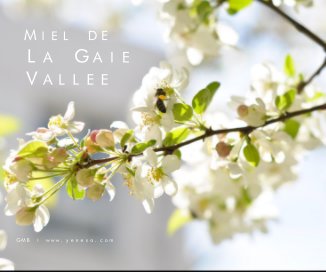 MIEL DE LA GAIE VALLEE book cover