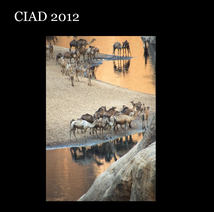 Ver CIAD 2012 por RICAFF