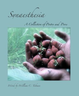 Synaesthesia book cover