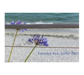 Finistère Sud. Juillet 2012 book cover