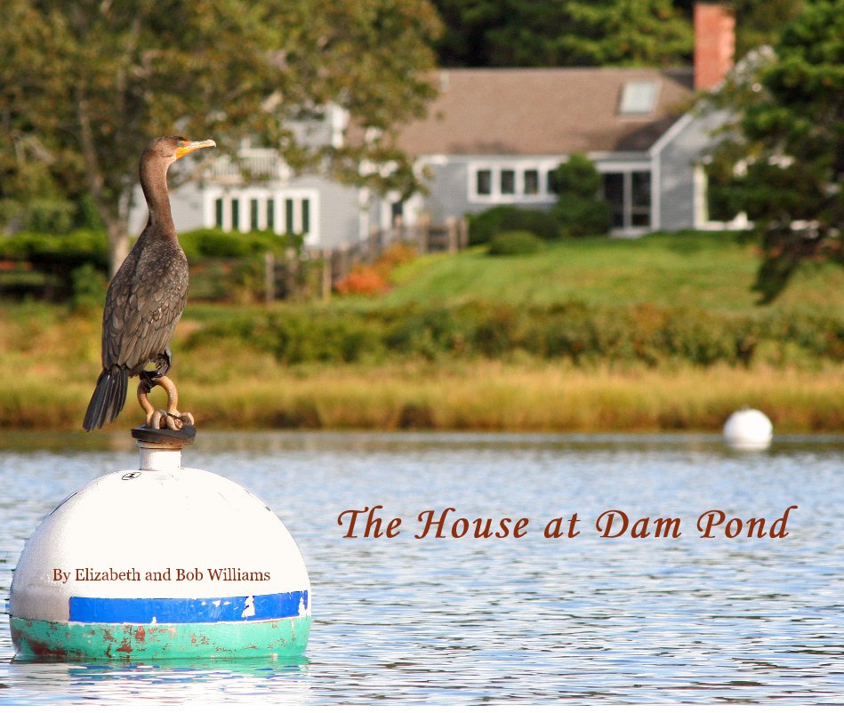 View The House at Dam Pond by Elizabeth and Bob Williams