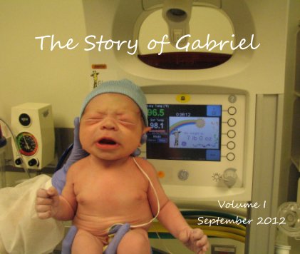 The Story of Gabriel book cover