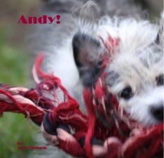 Andy! by Josie Dickson book cover