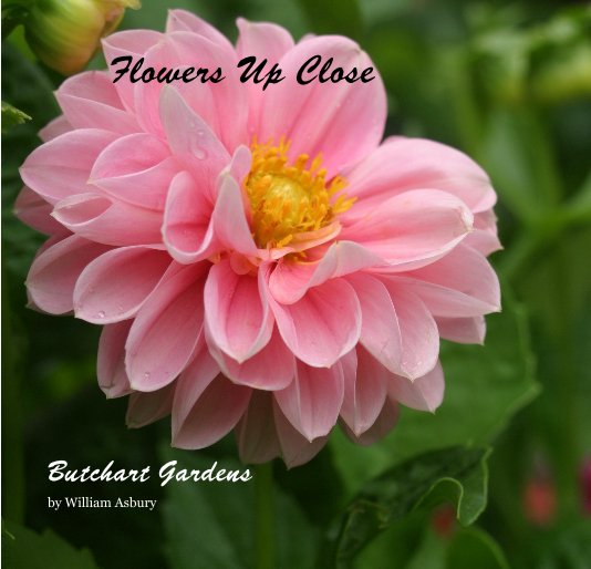 Ver Flowers Up Close por William Asbury