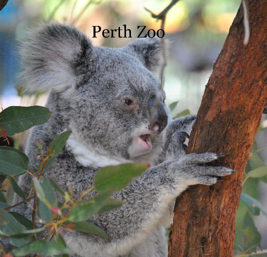 View Perth Zoo by jenpassmo