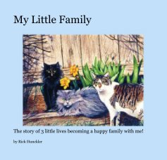 My Little Family book cover