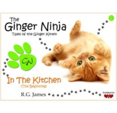 The Ginger Ninja book cover