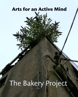 Arts for an Active Mind book cover