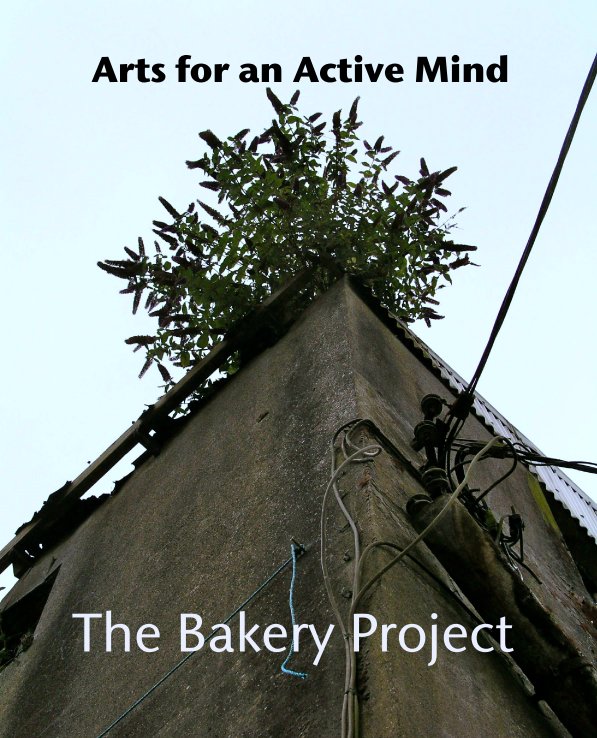 View Arts for an Active Mind by The Bakery Project