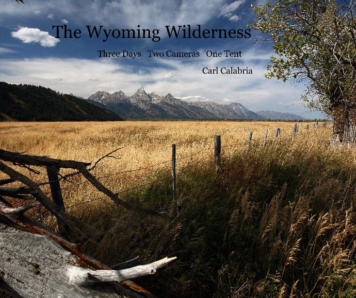 View The Wyoming Wilderness by Carl Calabria