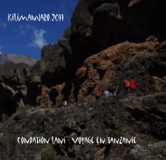 Kilimanjaro 2011 book cover