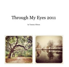 Through My Eyes 2011 book cover