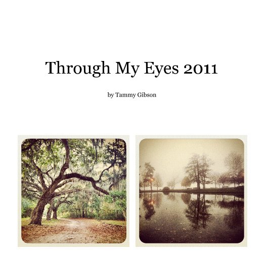 Through My Eyes 2011 nach Tammy Gibson anzeigen