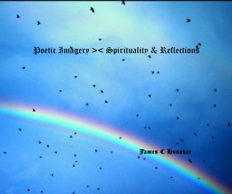 Poetic Imagery >< Spirituality & Reflections book cover