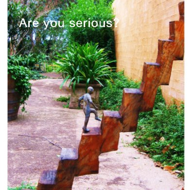Are you serious? book cover