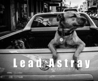 Lead Astray book cover