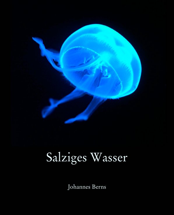 Visualizza Salziges Wasser di Johannes Berns