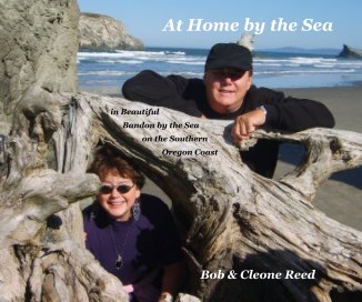 At Home by the Sea book cover