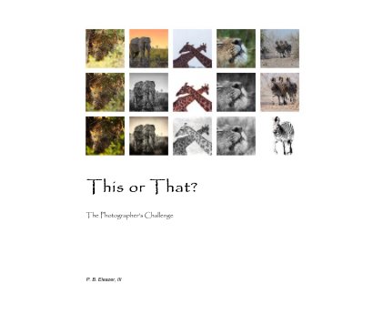This or That? The Photographer's Challenge book cover