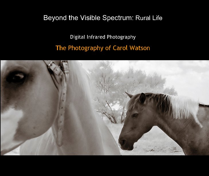 View Beyond the Visible Spectrum: Rural Life by Carol Watson