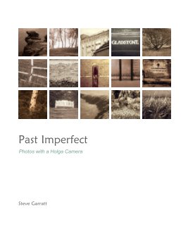 Past Imperfect book cover