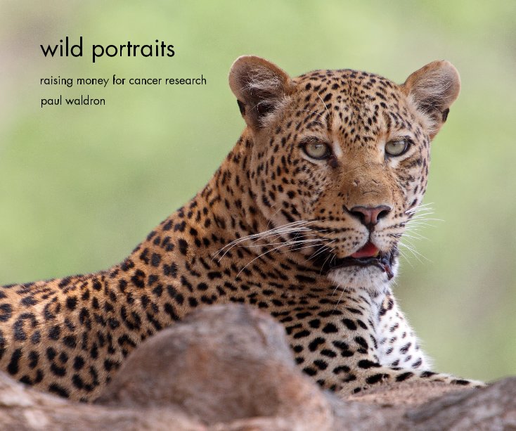 View wild portraits by paul waldron