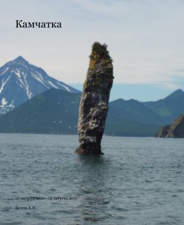 Камчатка book cover