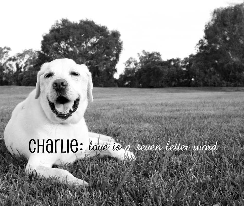 View CHARLIE: love is a seven letter word by Tahlia Woodlock