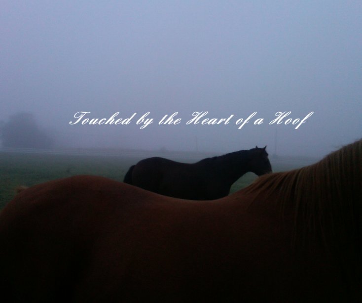 View Touched by the Heart of a Hoof by Martha E Voorhees