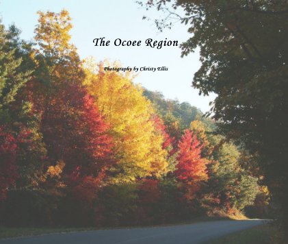 The Ocoee Region book cover
