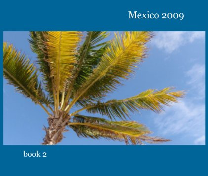 MEXICO 2009 book 2 book cover