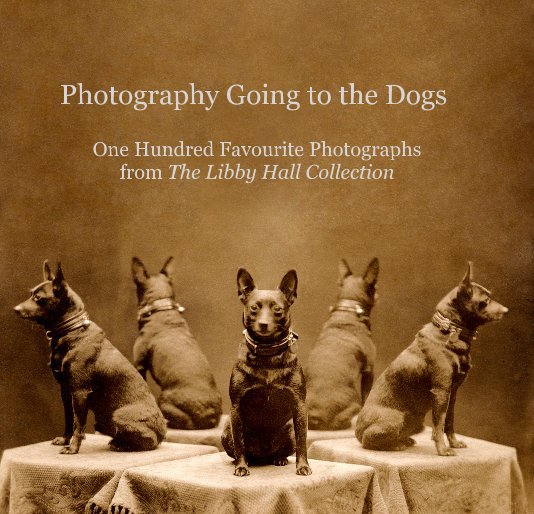 View Photography Going to the Dogs One Hundred Favourite Photographs from The Libby Hall Collection by dogphoto