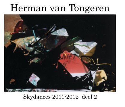 Skydances 2011-2012 deel 2 book cover