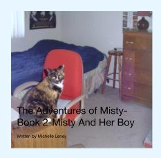 The Adventures of Misty-Book 2 book cover