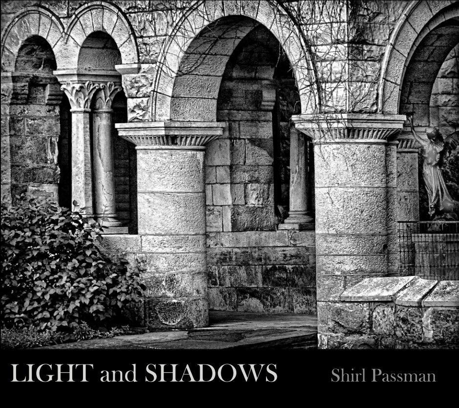 View Light and Shadows by Shirl Passman