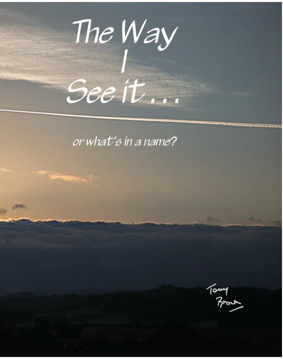 View The Way I See It by Tony Brown