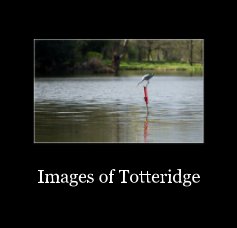 Images of Totteridge book cover