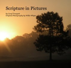 Scripture in Pictures by Caryl Traugott Original Photography by Willis-Whyte book cover