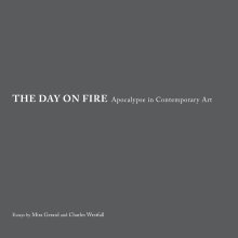The Day on Fire book cover