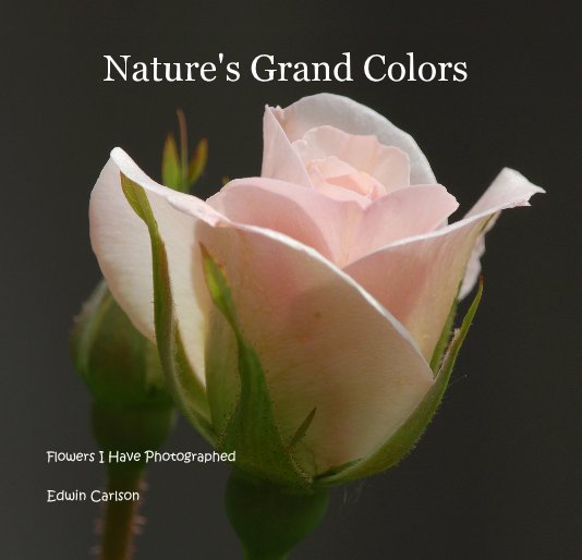 View Nature's Grand Colors by Edwin Carlson