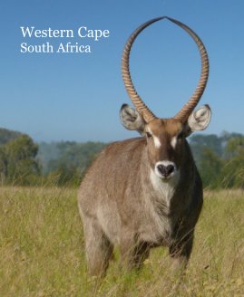 Western Cape South Africa book cover