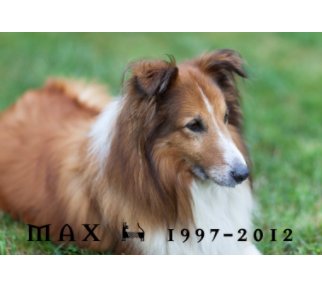 Max Our Sheltie book cover