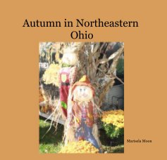 Autumn in Northeastern Ohio book cover