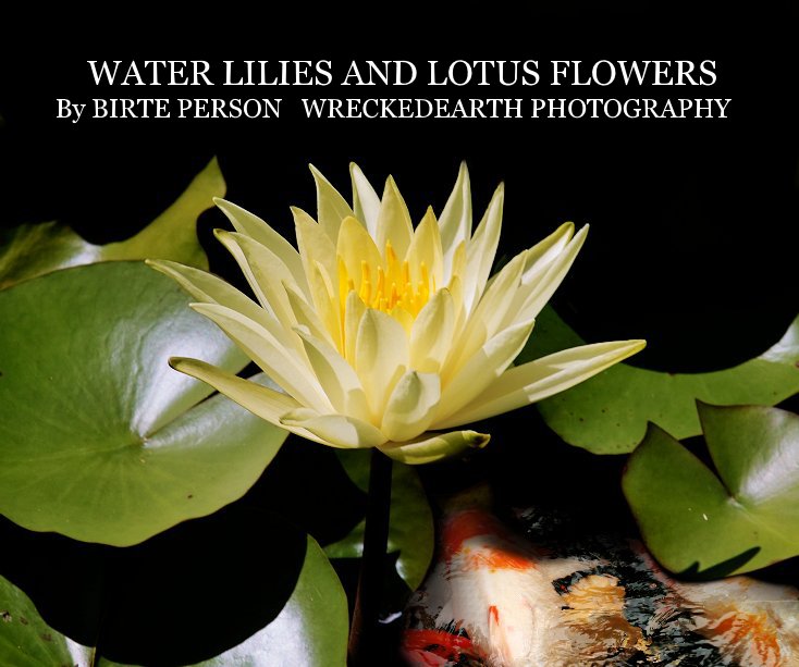 Ver WATER LILIES AND LOTUS FLOWERS By BIRTE PERSON WRECKEDEARTH PHOTOGRAPHY por Birte Person