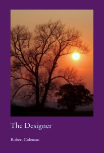 The Designer book cover