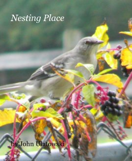 Nesting Place book cover