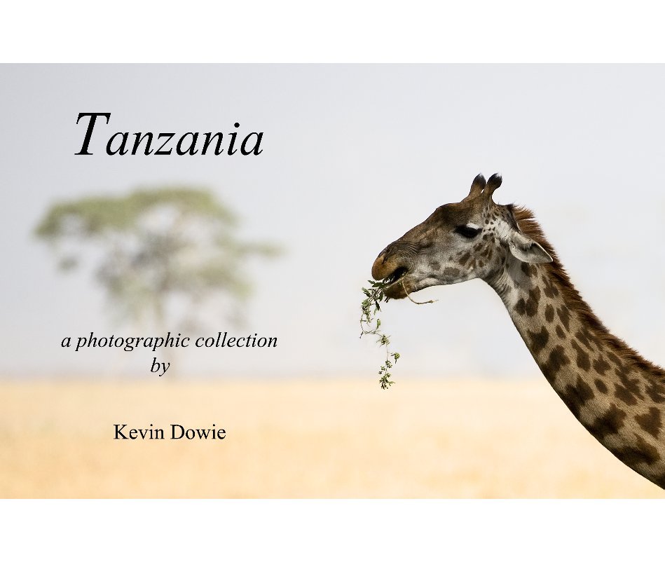 View Tanzania by Kevin Dowie