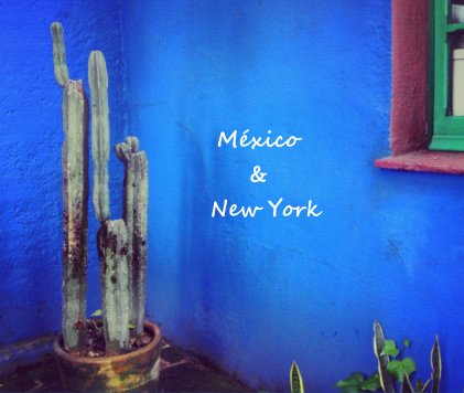 México & New York book cover