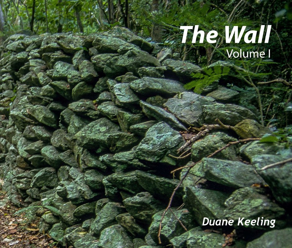 View The Wall by Duane Keeling